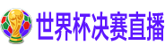 世界杯决赛直播